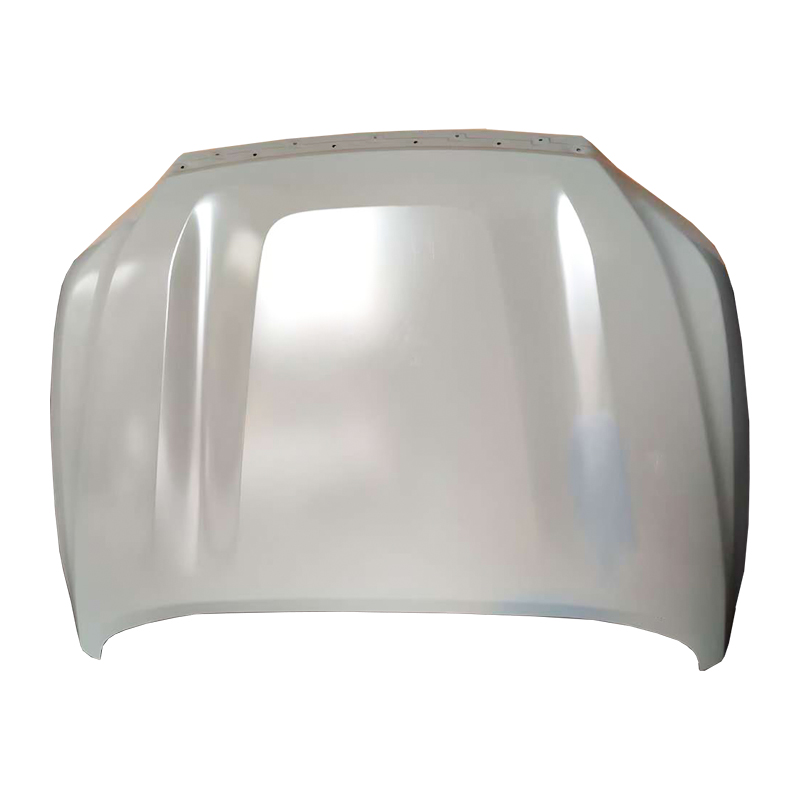 NP300 21 Bara de protectie