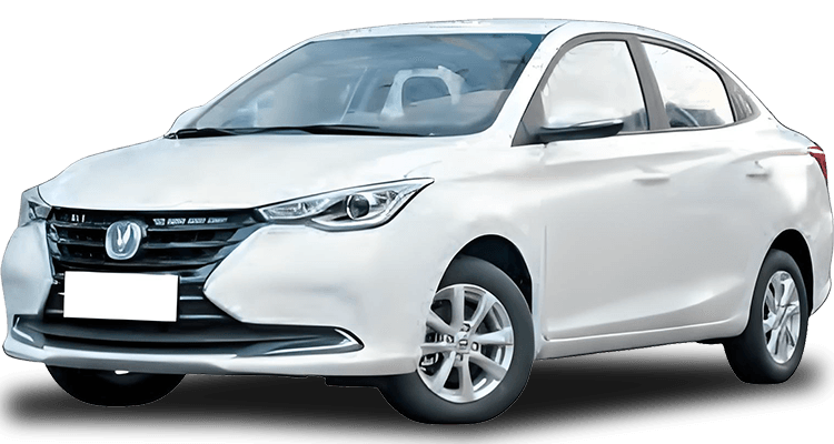 Alsvin 2018-